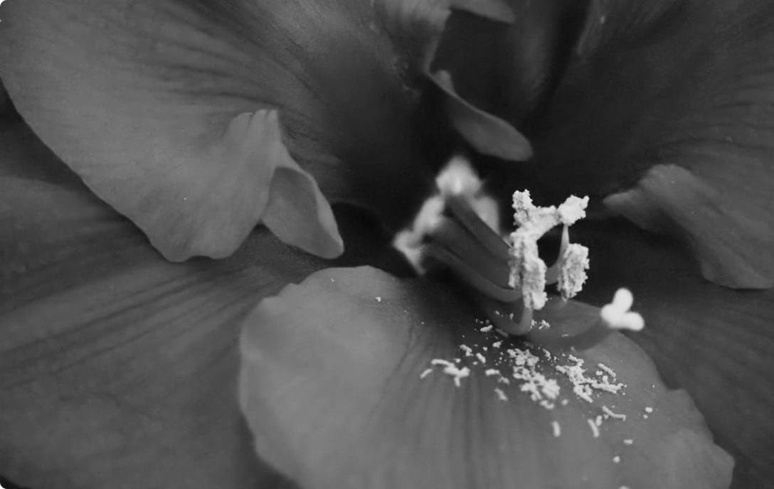 Webサイトのデザイン一覧が並ぶイメージ